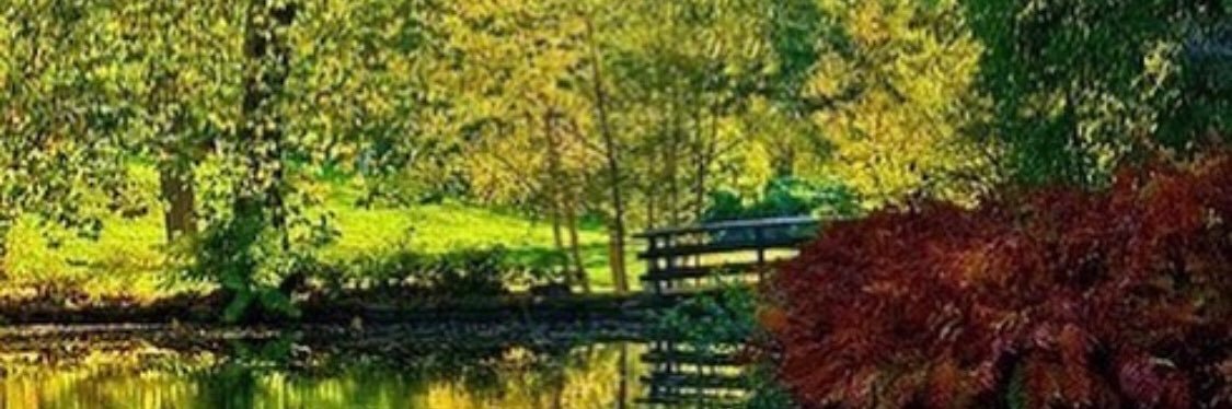 kaylaviolas's profile banner image