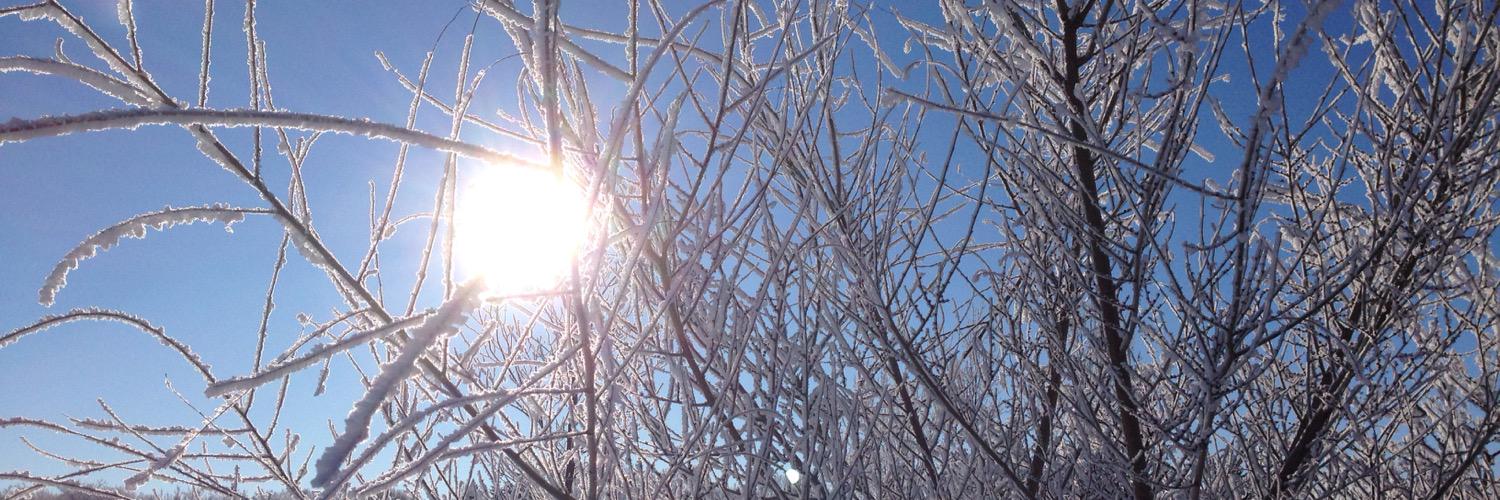 Orenda Pelzer banner