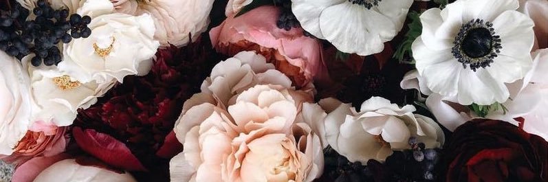 paofm1's profile banner image