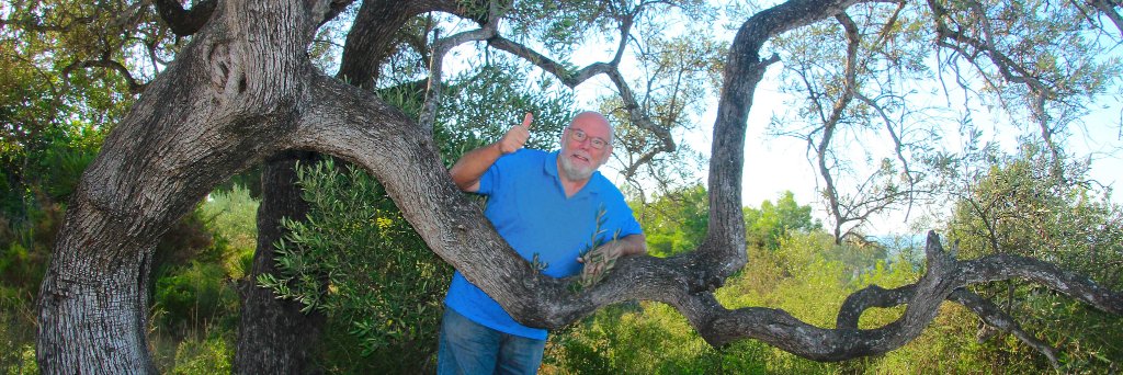 jmcastejon's profile banner image