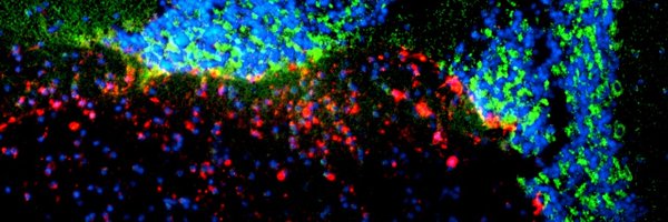 DrexelCancerBio Profile Banner