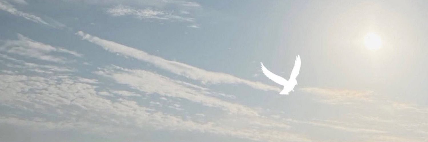 ナコ's banner