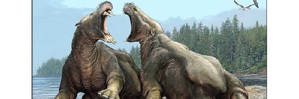 Vanderhoofius Profile Banner