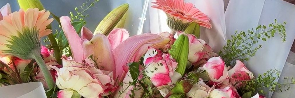 iiiNNHH's profile banner image