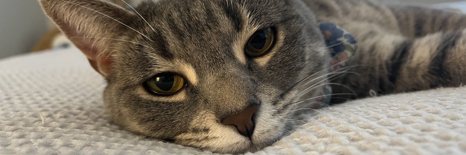 Emilym2016's profile banner image