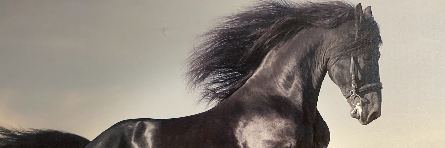zariash's profile banner image