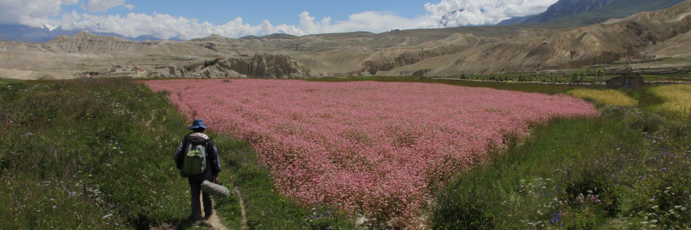 SVA MFA Social Documentary Film banner