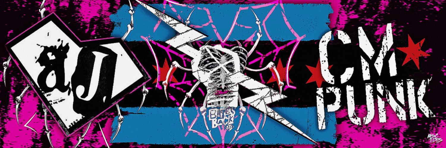Punk & AJ Fan banner