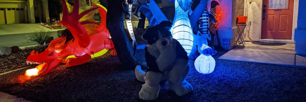 DachWuff's profile banner image
