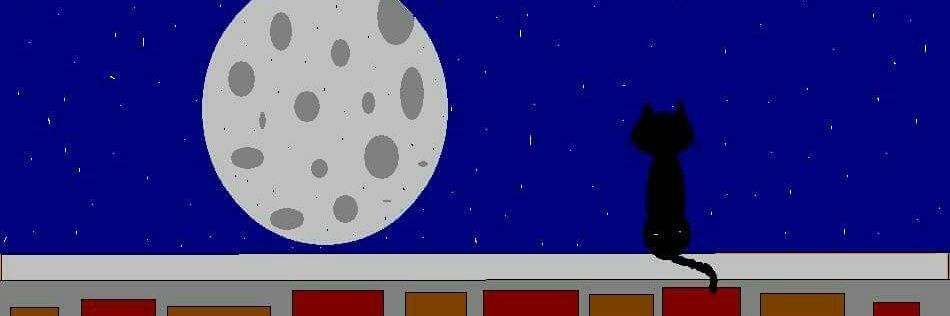 ernestoptapia's profile banner image