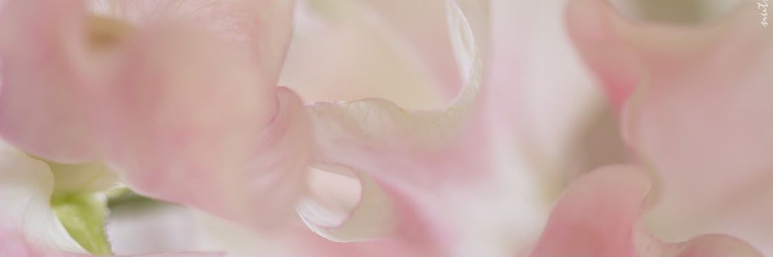 𝓜𝒊𝒏𝒂 banner