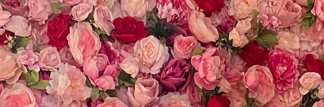 Megan Escott banner