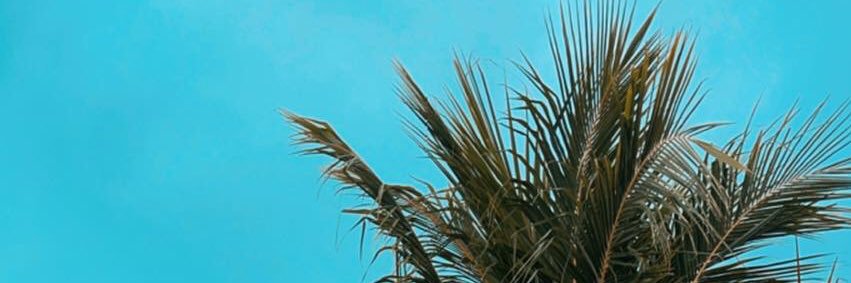 Shifa Mohammed🎈🇵🇸 banner