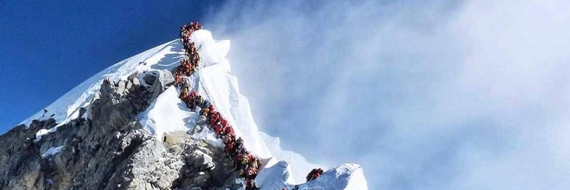 Dang Phi Long banner