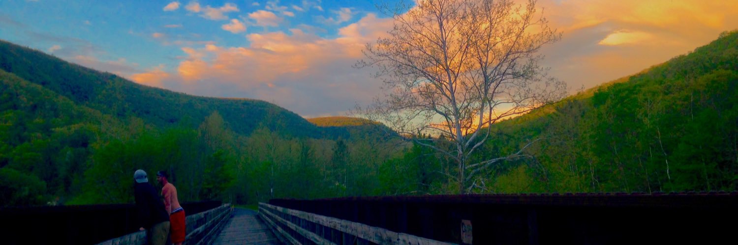 Matthew Brode banner