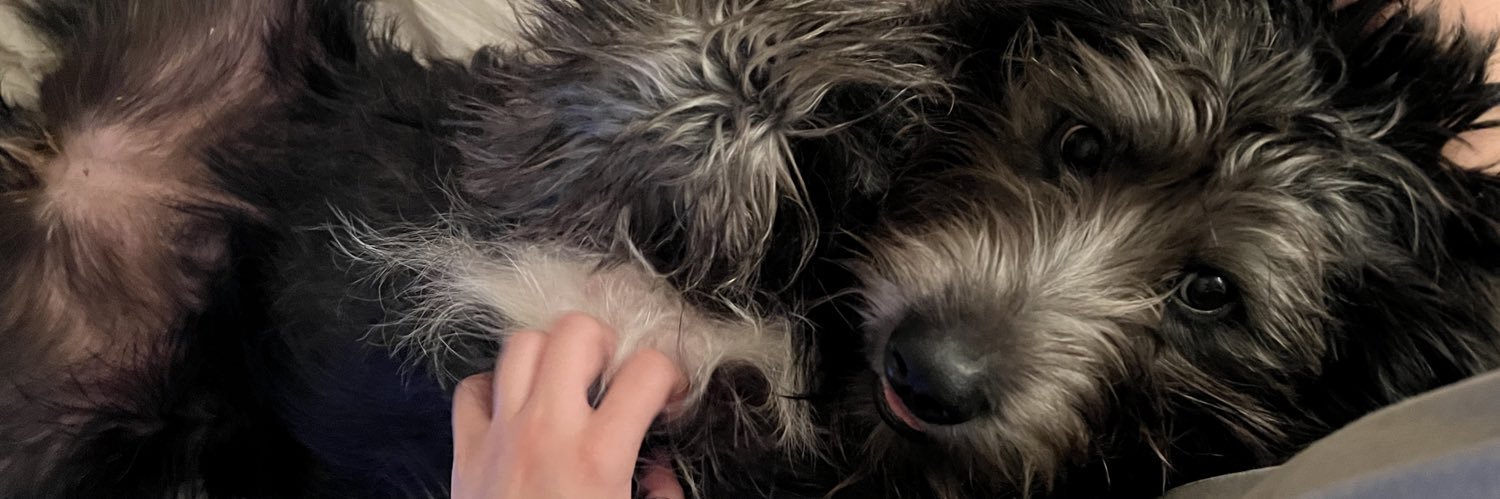 bailey_bingham's profile banner image