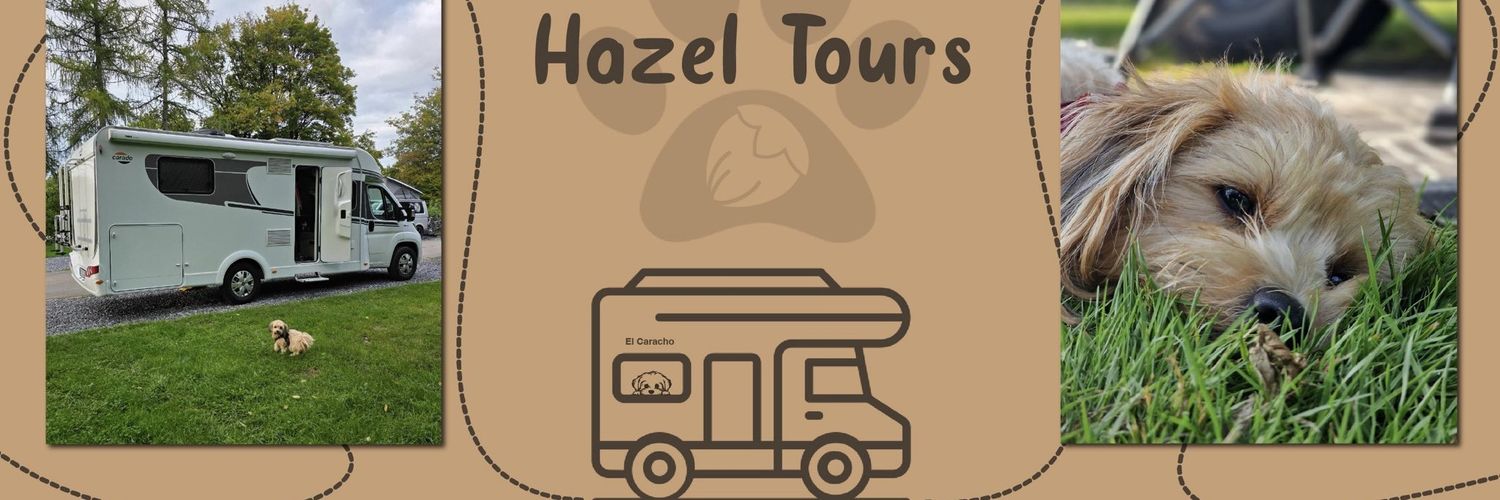 Hazel banner