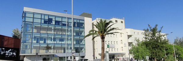 TallafigoL Profile Banner