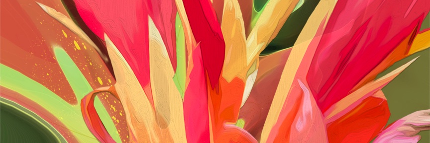 gina_harrison's profile banner image