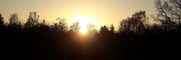 Lilithone Profile Banner