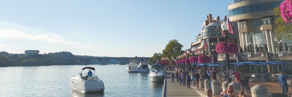 mallorymort's profile banner image