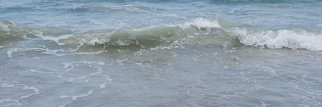 chandyelizabeth's profile banner image