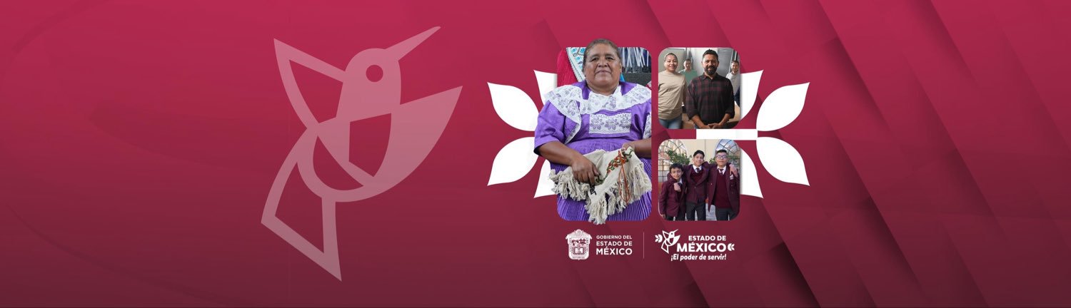 TESVGMex's profile banner image