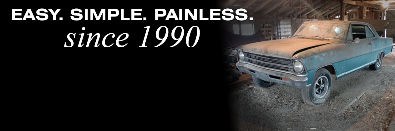 Painless Performance banner