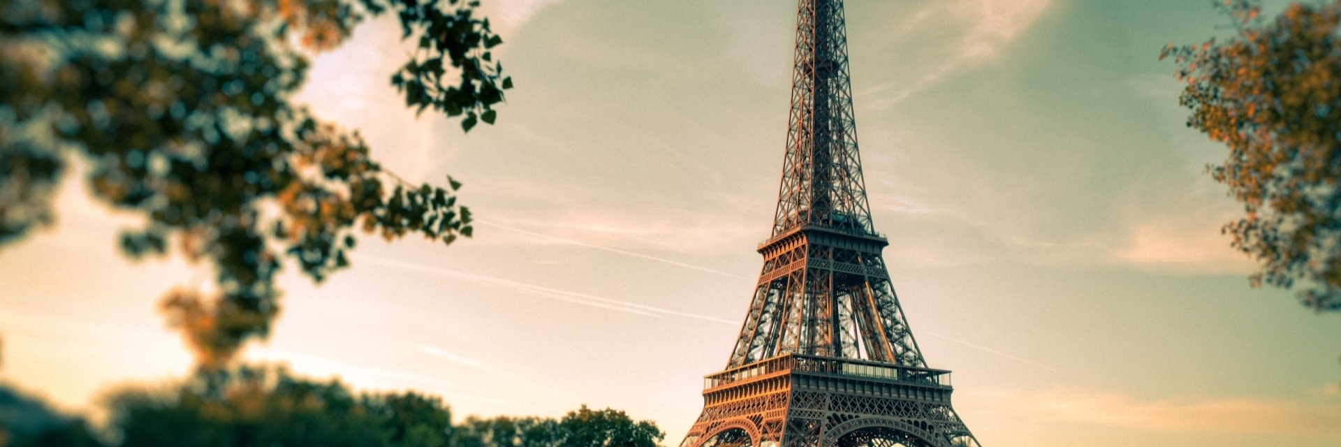 wrosso's profile banner image