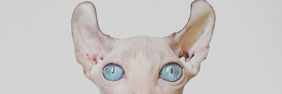 อาทอาท banner