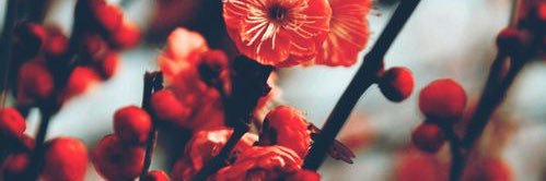 (inactive) moved to @tetrahedr0n_ banner