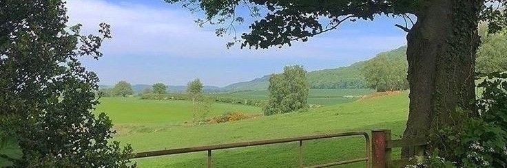 LuciOntive's profile banner image