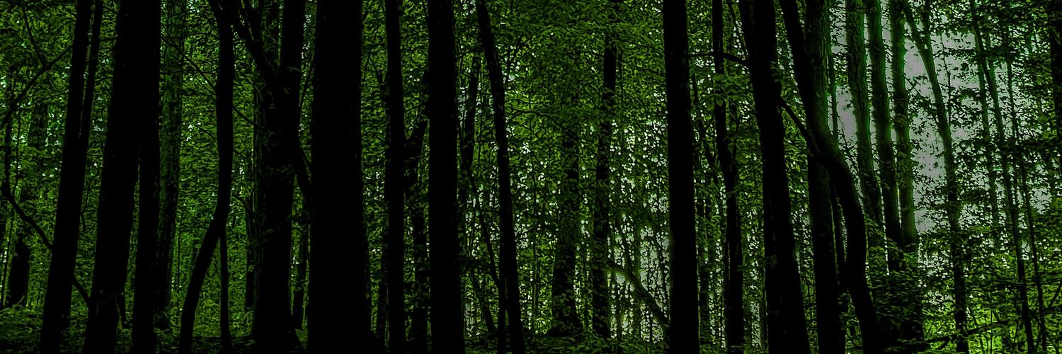 nincomspoop's profile banner image