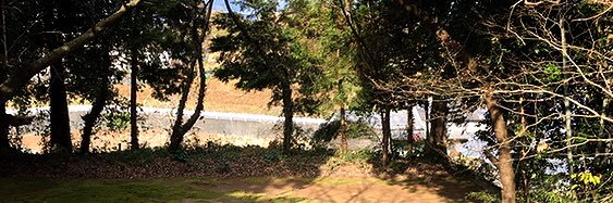yymm_tf's profile banner image