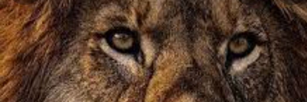 KailashLabaniya's profile banner image
