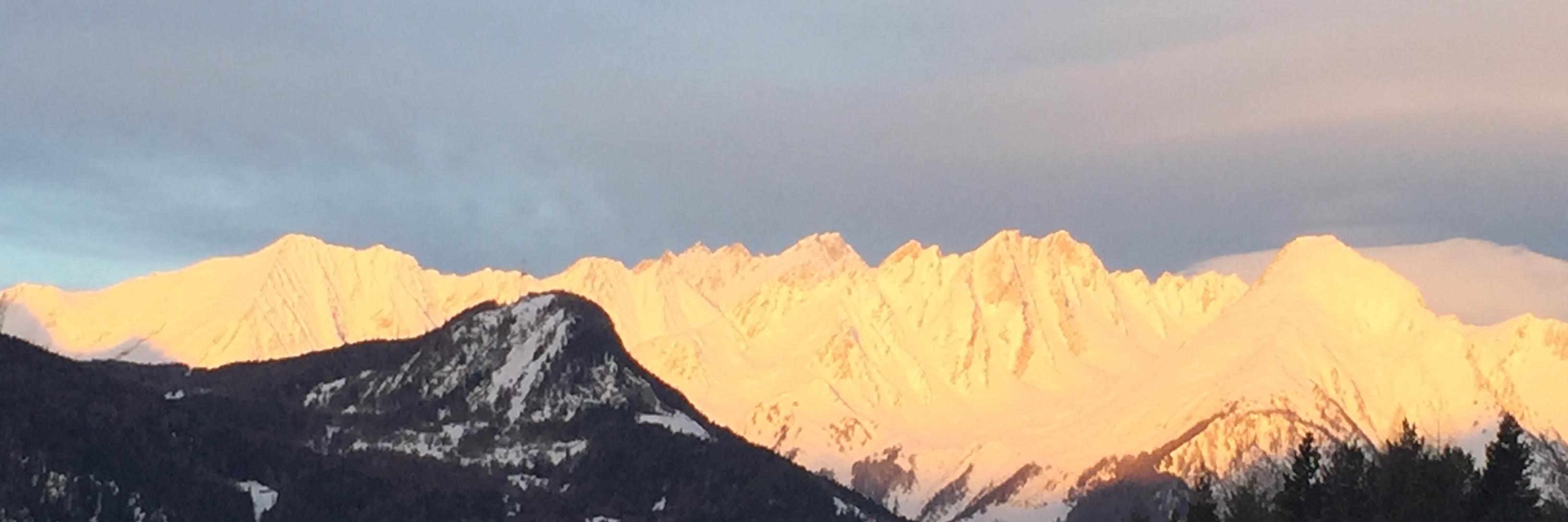 Claire Daviss banner