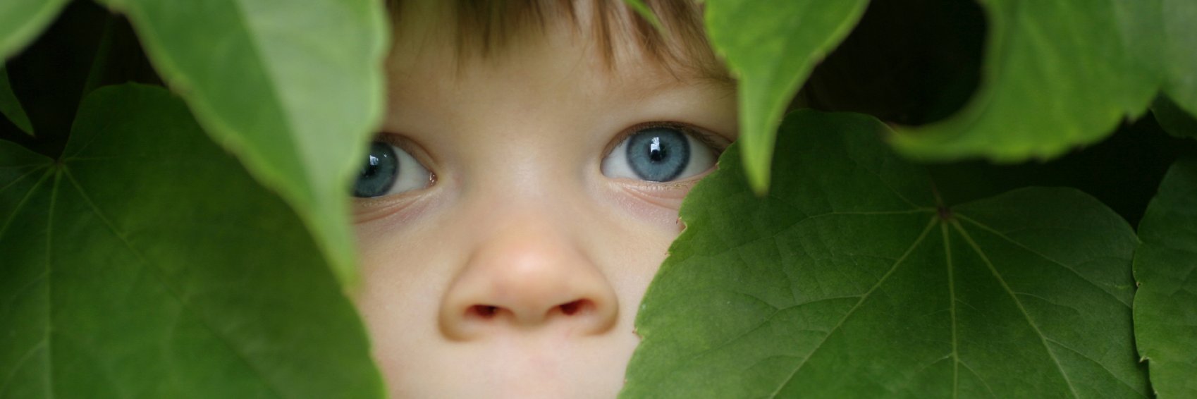 greencrossarg's profile banner image