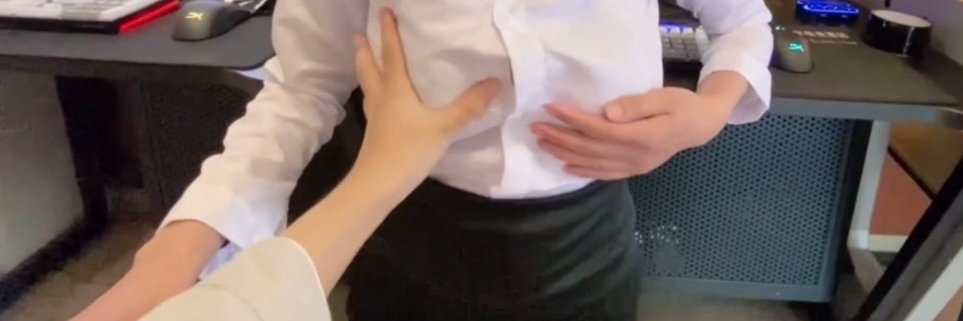 斯文禽兽x SiwenqinshouX banner