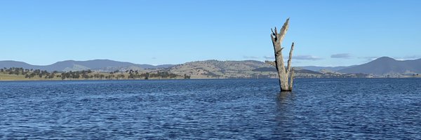 liminal_ED Profile Banner