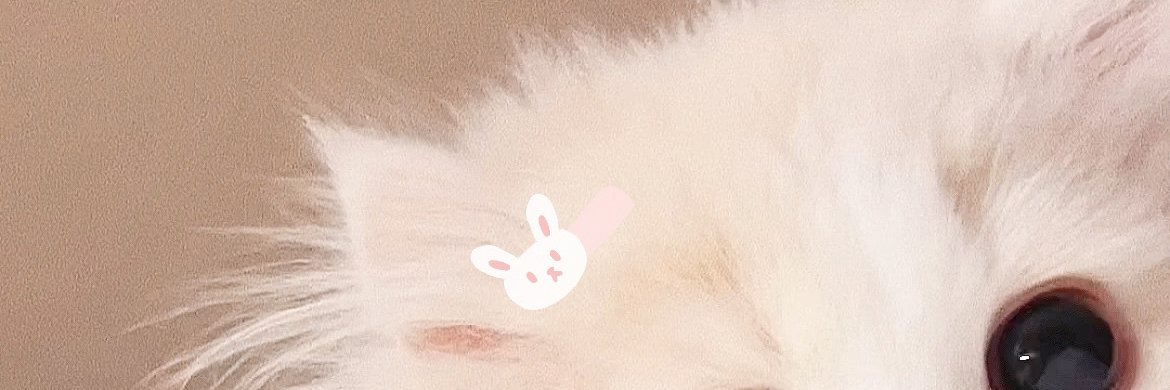 MadboohKaled's profile banner image
