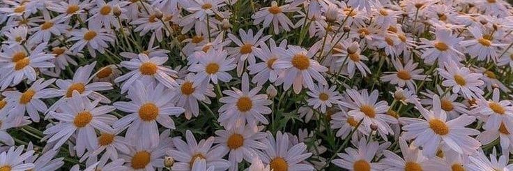 _Beyza_17's profile banner image