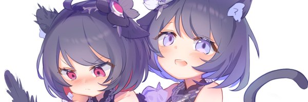 ba_accnt2 Profile Banner