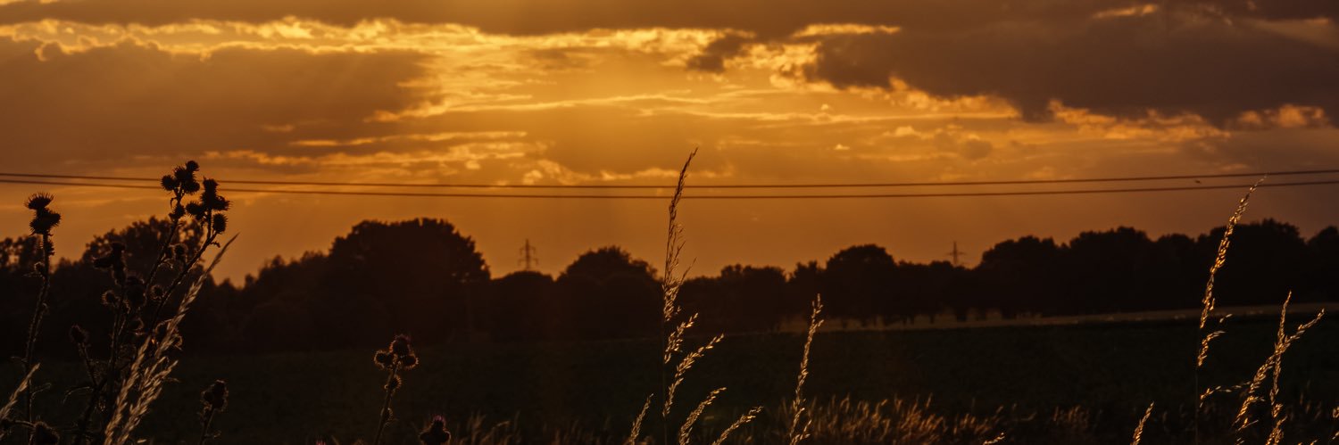NeuSteffi's profile banner image