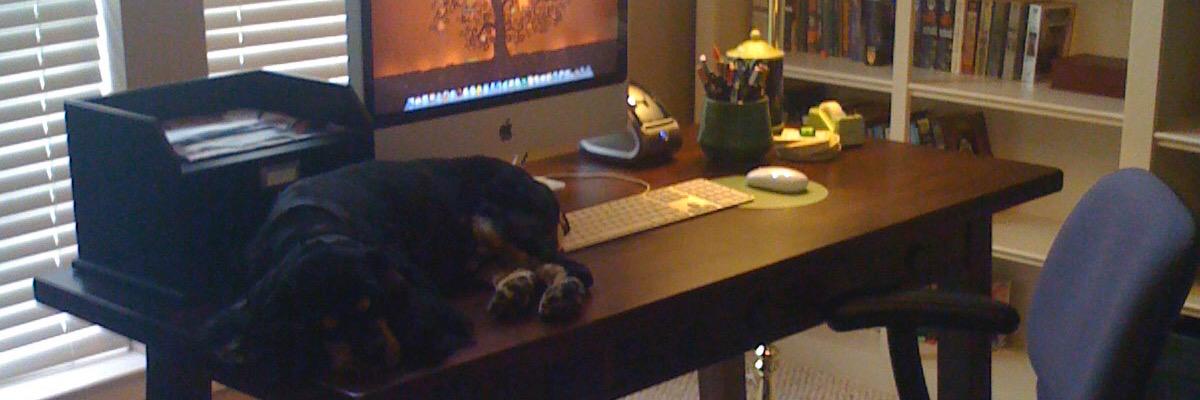 melissaeverhart's profile banner image