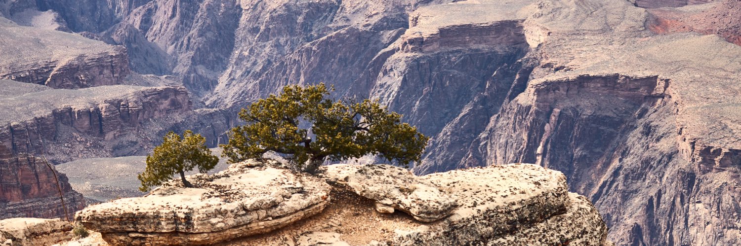 grahamcopeland's profile banner image