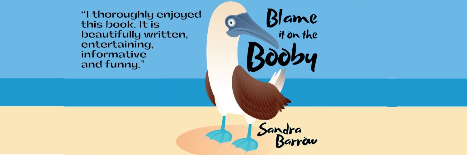 Sandra Barrow 🌇🏞️ banner