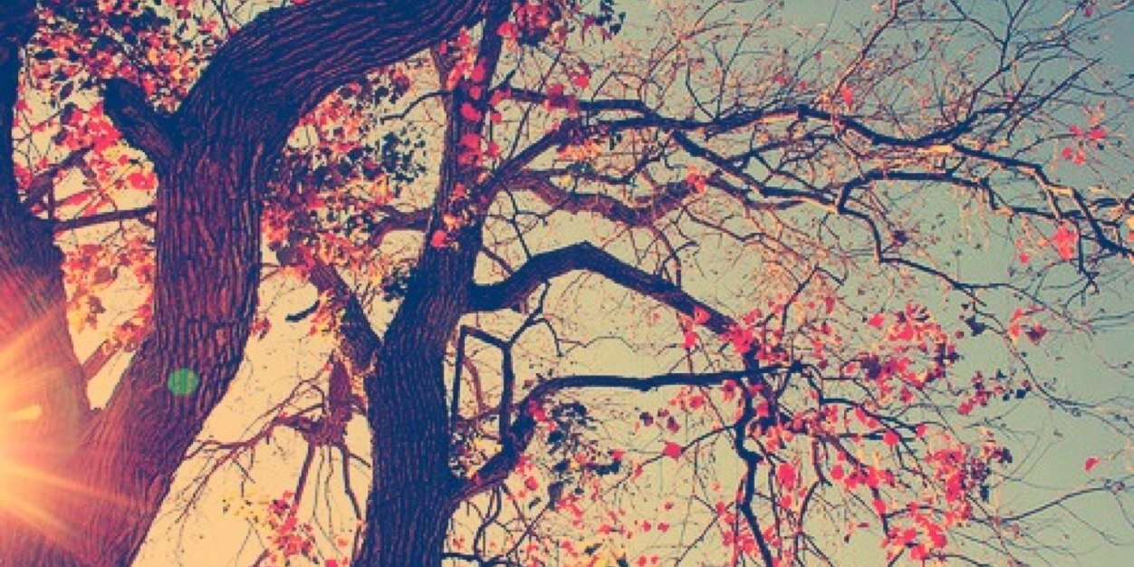 dillanueva's profile banner image