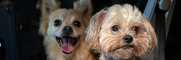 RedeemedofHim Profile Banner