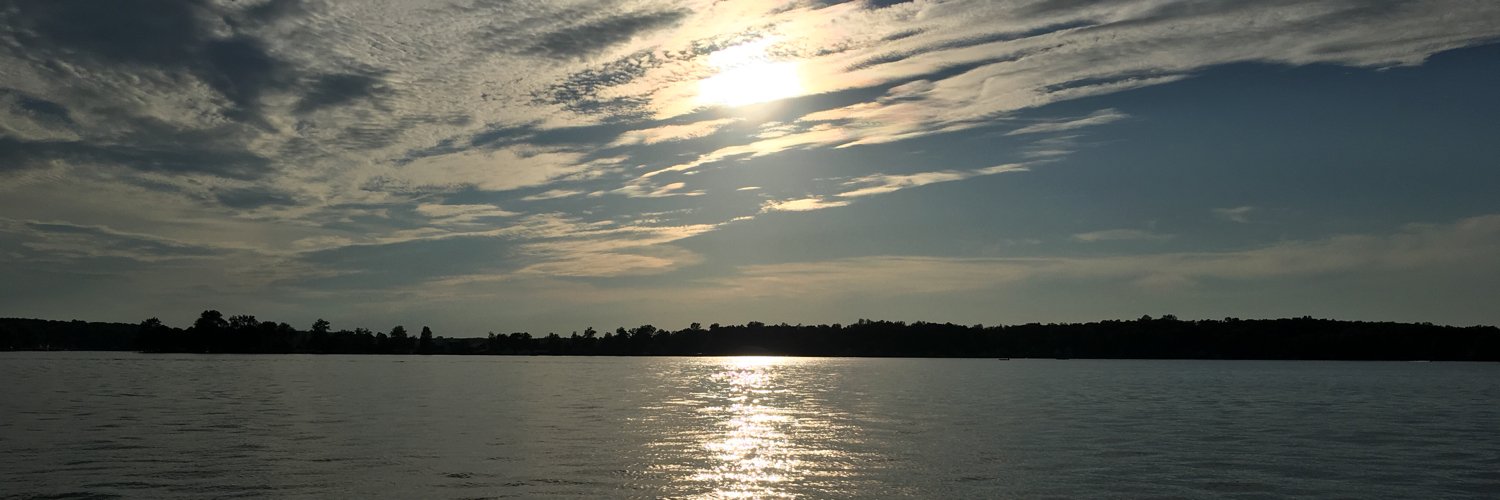 Lesley Lampen banner