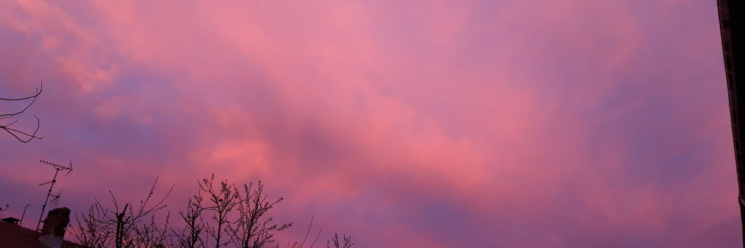 40_joelle's profile banner image